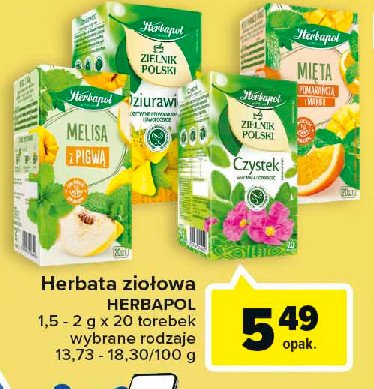 Herbatka melisa z pigwą Herbapol zielnik polski promocja