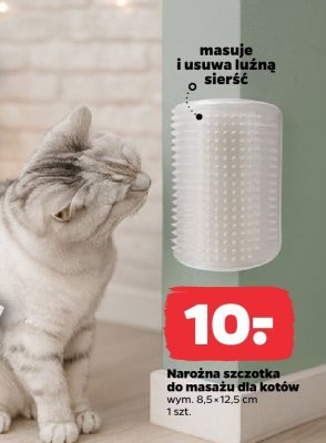 Narożna szczotka do masażu dla kotów wym. 8,5×12,5 cm promocja w Netto