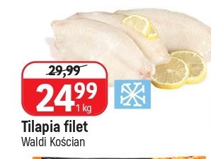 Tilapia Waldi promocja