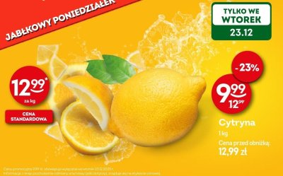 Cytryna promocja w Żabka