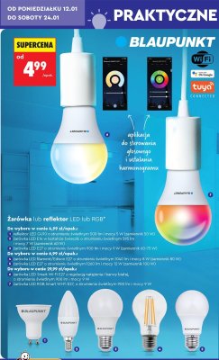 Reflektor LED GU10 o strumieniu świetlnym 500 lm  promocja w Biedronka