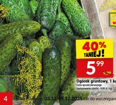 Ogórek gruntowy, 1 kg promocja w Twój Market