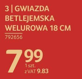 Gwiazda Betlejemska Welurowa 18 cm promocja w Selgros