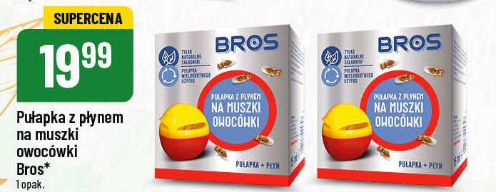 Pu艂apka na muszki owoc贸wki Bros promocja