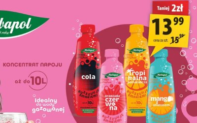 Koncentrat do napojów Herbapol Mango 400ml promocja w Arhelan