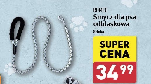 Smycz dla psa odblaskowa Romeo (karma) promocja