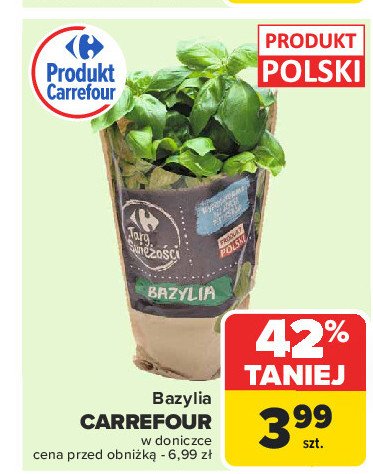 Bazylia Carrefour targ świeżości promocja w Carrefour Market