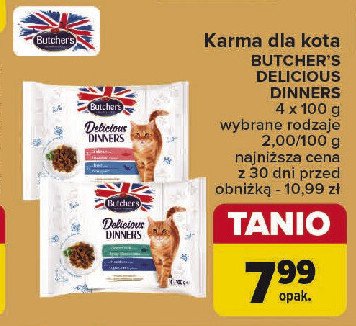 Karma dla kota łosoś i pstrąg Butcher's delicious dinners promocja