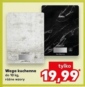 Waga kuchenna ODELO promocja w Kaufland