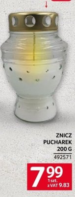 Znicz pucharek promocja w Selgros