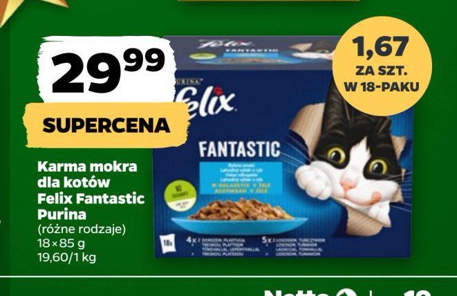 Karma dla kota rybne smaki Purina felix fantastic promocja