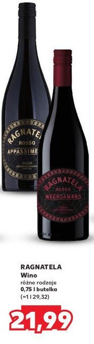 Wino RAGNATELA ROSSO APPASSIMENTO promocja