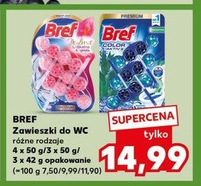 Zawieszka do wc eukaliptus Bref color aktiv promocja