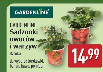 Kawa GARDEN LINE promocja w Aldi
