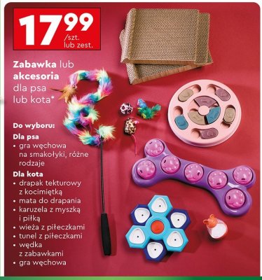Zabawka lub akcesoria dla psa / kota  promocja w Biedronka