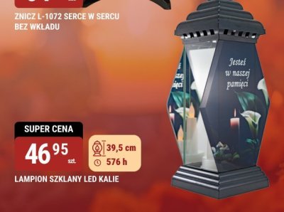 ZNICZ L-1072 SERCE W SERCU BEZ WKŁADU promocja w bi1