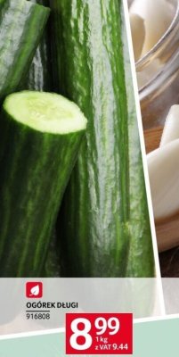 Ogórek długi promocja w Selgros