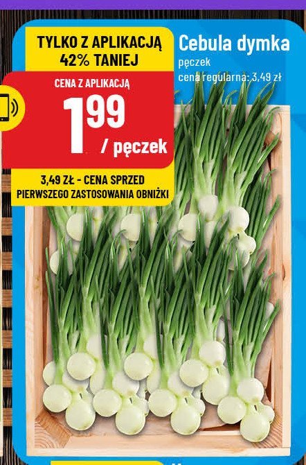 Cebula dymka promocja