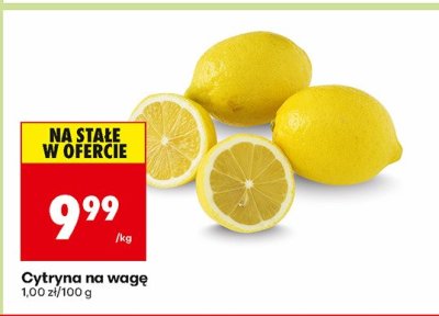 Cytryna na wagę promocja w Biedronka