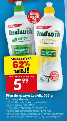 Płyn do naczyń Ludwik, 900 g promocja w Twój Market