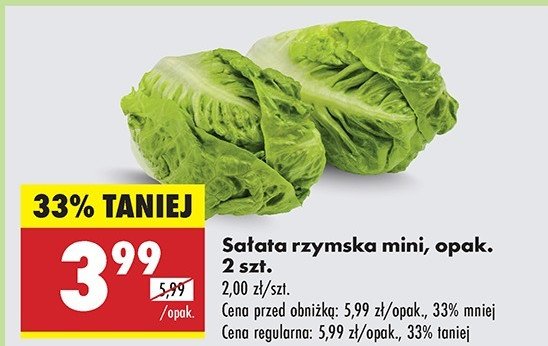 Sa艂ata rzymska mini promocja