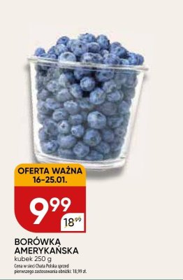 Borówka amerykańska promocja w Chata Polska