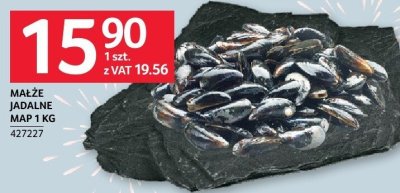 Małże jadalne MAP promocja w Selgros