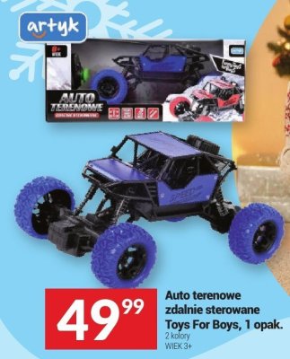 Auto terenowe zdalnie sterowane Toys For Boys, 1 opak. promocja w Twój Market