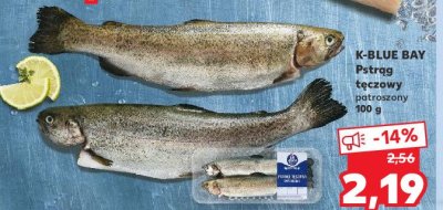 Pstrąg tęczowy patroszony K-classic blue bay promocja