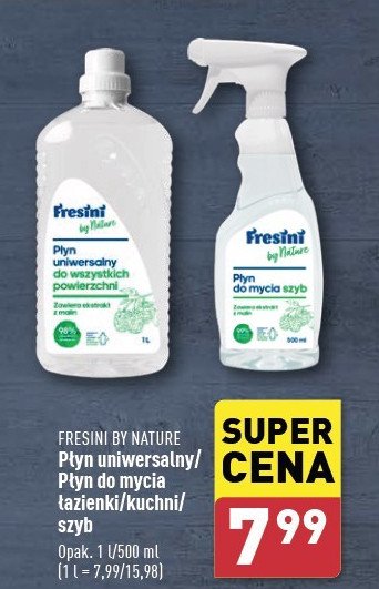 Płyn do mycia szyb Fresini by nature promocja