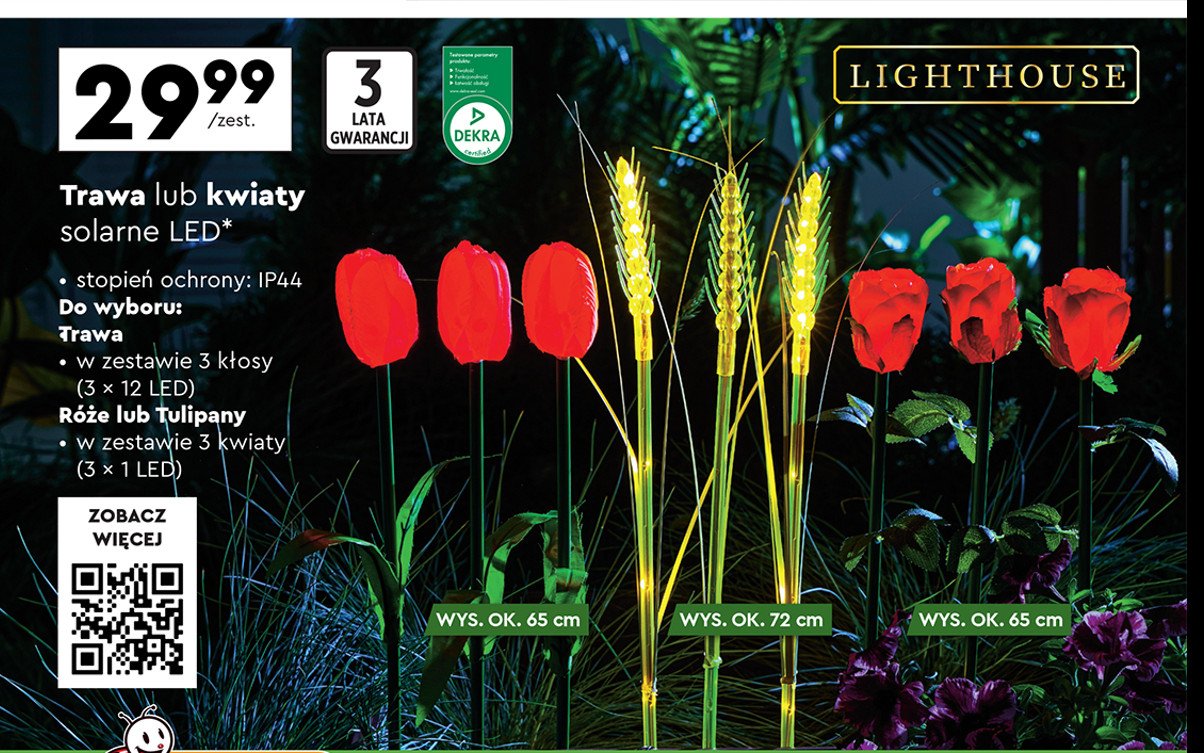 Tulipany led Light house promocja