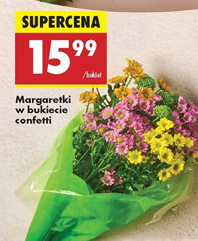 Bukiet margaretek promocja w Biedronka