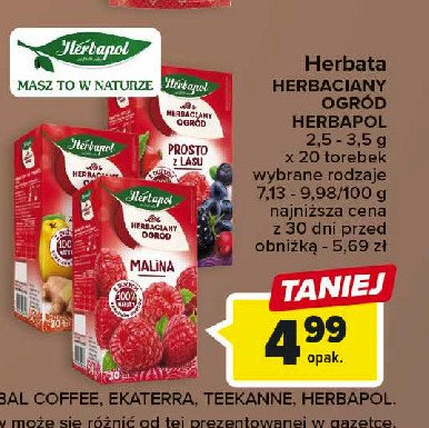 Herbata malina z pigw膮 Herbapol herbaciany ogr贸d promocja