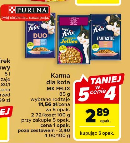 Karma dla kota sardynki i 艂oso艣 w galaretce Purina felix fantastic duo promocja