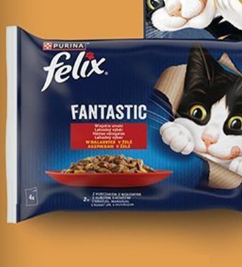 Karma dla kota Fantastic promocja w Biedronka