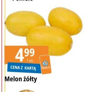 Melon żółty promocja