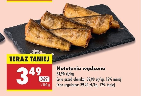 Nototenia w臋dzona promocja