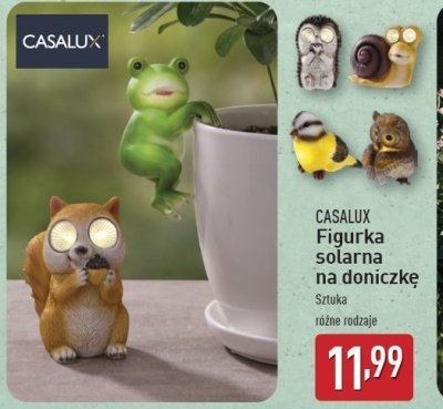Figurka solarna na doniczkę ślimak Casalux promocja
