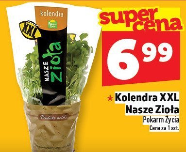 Kolendra XXL Nasze Zioła promocja w TOPAZ