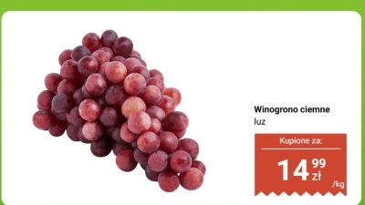 Winogrono ciemne luz promocja w Dino