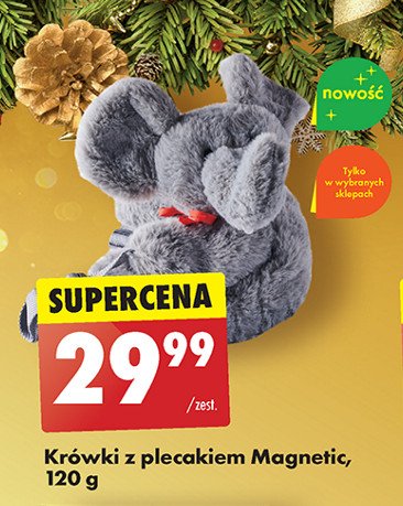 Krówki z plecakiem Magnetic promocja w Biedronka