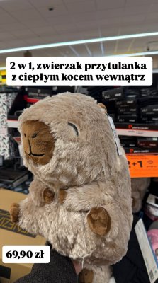Zwierzak przytulanka z ciepłym kocem wewnątrz promocja w Biedronka