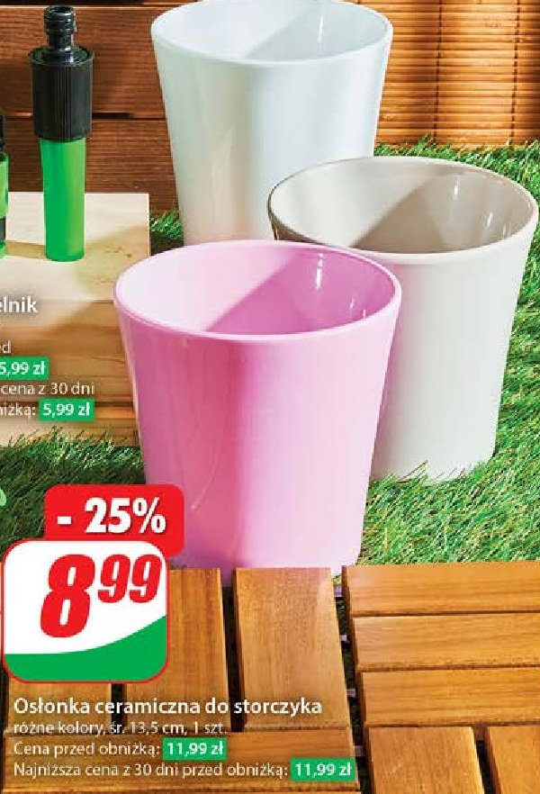 Osłonka ceramiczna storczyk 13 cm promocja w Dino