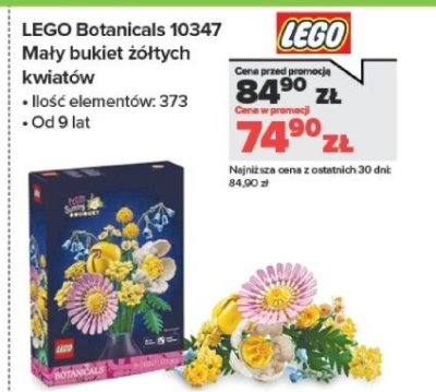 Klocki Botanicals 10347 Mały bukiet żółtych kwiatów promocja w NEONET