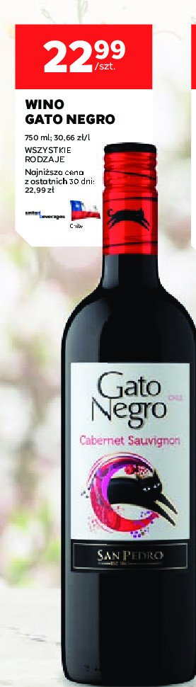 Wino GATO NEGRO CABERNET SAUVIGNON promocja