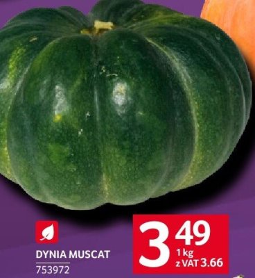Dynia promocja w Selgros