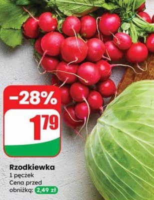 Rzodkiewka promocja w Dino