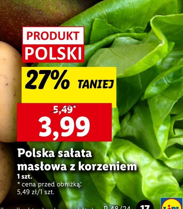 Sałata masłowa polska promocja