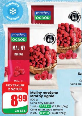 Maliny mrożone Mrożny Ogród promocja w Dino