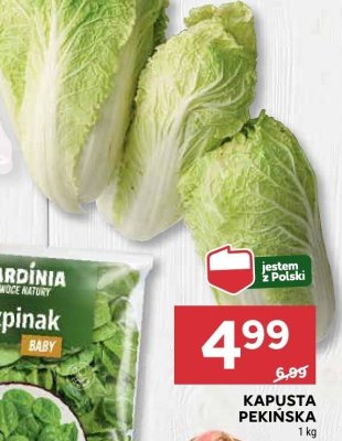 Kapusta Pekińska promocja w Stokrotka